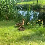 De Hooiberg Edam-volendam 3*